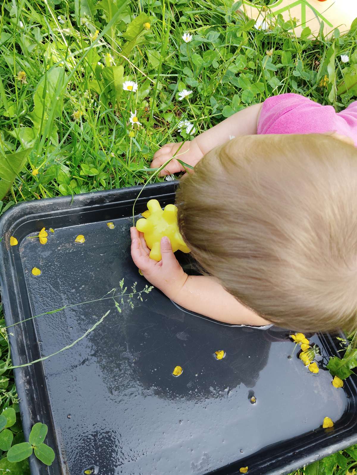 Jeune enfant jouant avec l'eau dans l'herbe lors d'un atelier nature pour les tout-petits
