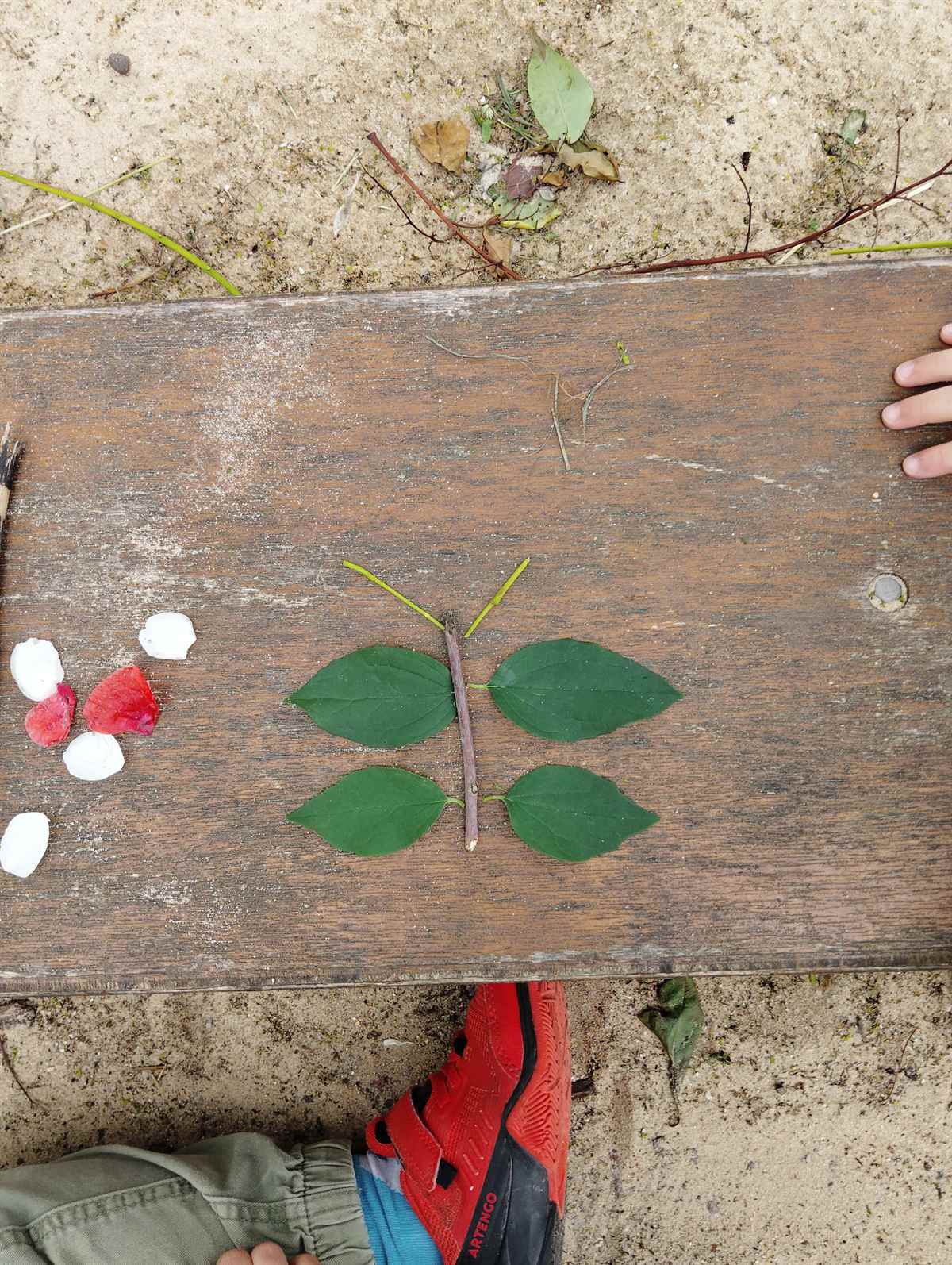 Papillon composé de feuilles et de brindilles, fabriqué par un enfant lors d'un atelier nature